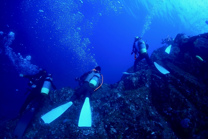ダイビング 黒潮ど真ん中！三宅島の激流ドリフトポイント三本獄（さんぼんだけ）を