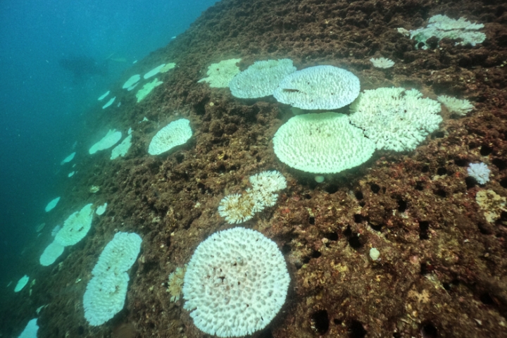 fh1727358203-14310.jpg?itok=